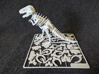t rex skeleton kit card
