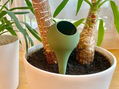 plant watering globe