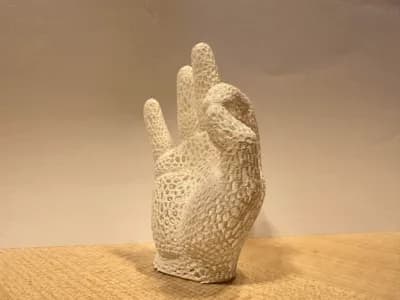 bionic ok hand voronoi